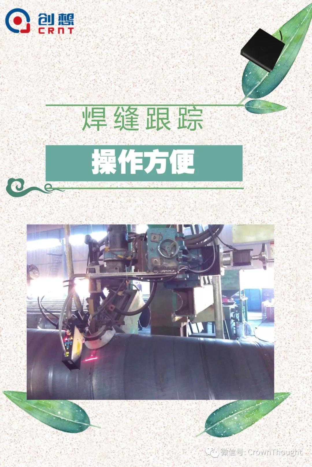 粽葉帶來的不僅僅是粽子，還有...
